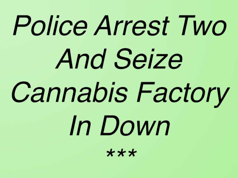 Police Arrest Two After Cannabis Factory Find