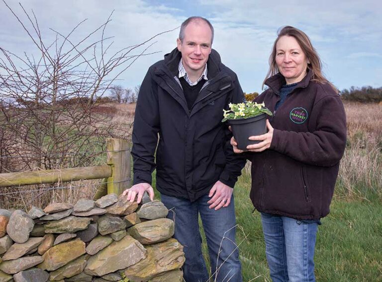 Help Save Native Flora In Our Down Countryside