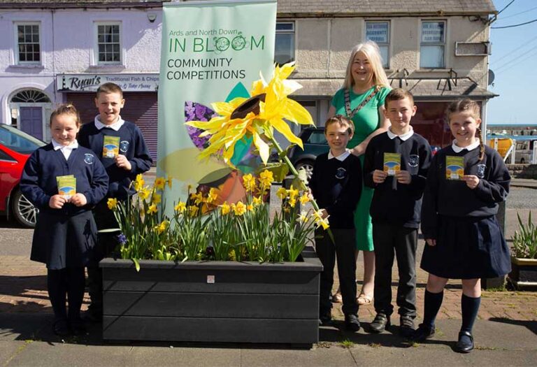 Ards Pupils Aim To Grow Tallest Sunflowers Ards Pupils Aim To Grow Tallest Sunflowers