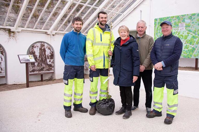 Castlewellan Arboretum Visit Of Key Stakeholders