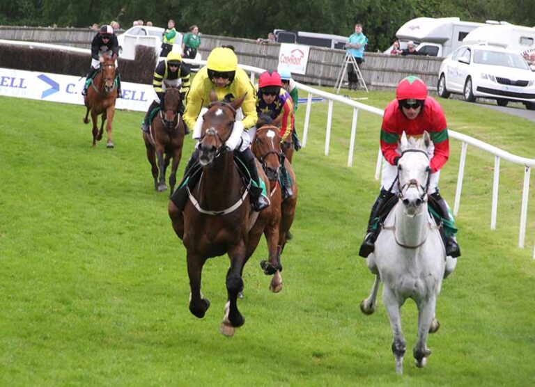 Down Royal Racecourse Preview For Eight Race Card