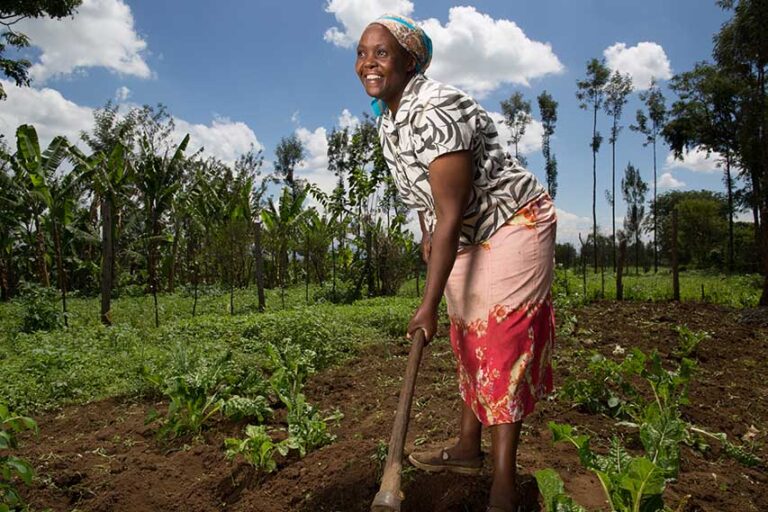 Time To Spring Clean And Help Self Help Africa