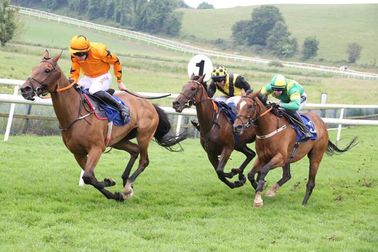 Downpatrick Races Report For 17 June 2023