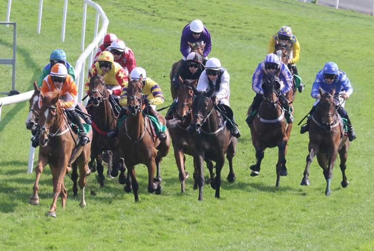 Sunday Races At Downpatrick Were Packed