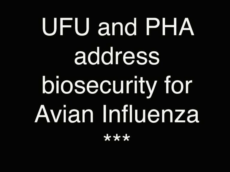 Avian Flu Risk Is Increasing Says UFU
