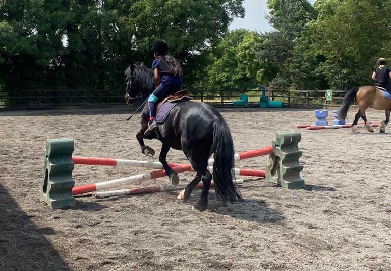 Adopted Children Benefit From Pony Camp