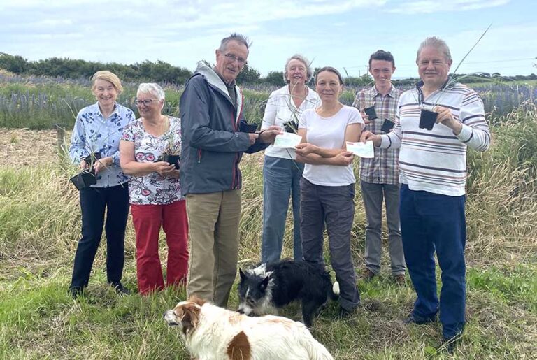 Lecale Conservation Backs Sand Dune Recovery