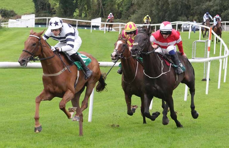 Derrylin Trainer Delivers A Win At Downpatrick Races