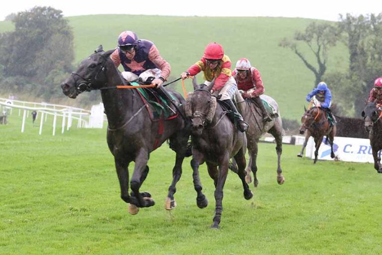 Going Was Soft For Downpatrick Race Meeting