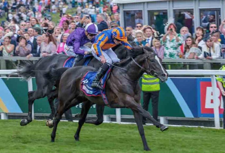 Leopardstown Champion Stakes Draws Top Horses