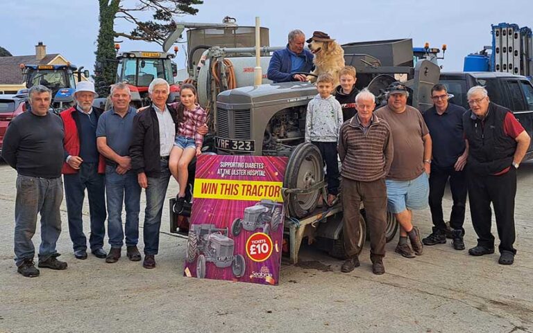 Win A Fergie At The Seaforde Vintage Show Win A Fergie At The Seaforde Vintage Show