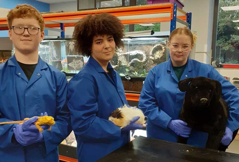 SERC Students Offer Halloween Tips For Pet Care