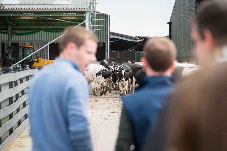 Rural Support Sees Huge Leap In Demand In Cases