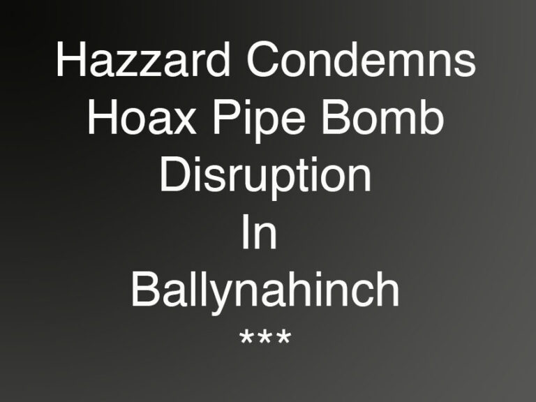 Ballynahinch Security Disruption Condemned By Hazzard