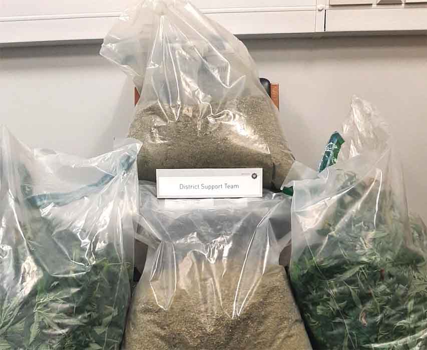 Police Seize Cannabis Worth £40,000 On Street Value - Down News