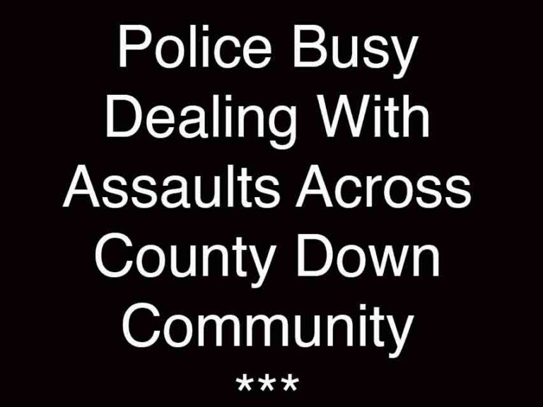 Police Face Tide Of Violence Cases Across County Down