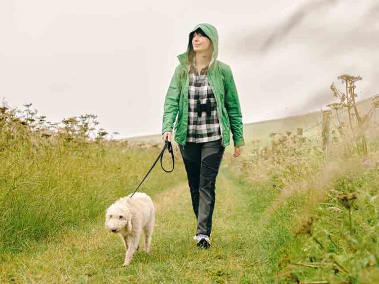 Keep Your Dog Safe Near Reservoirs
