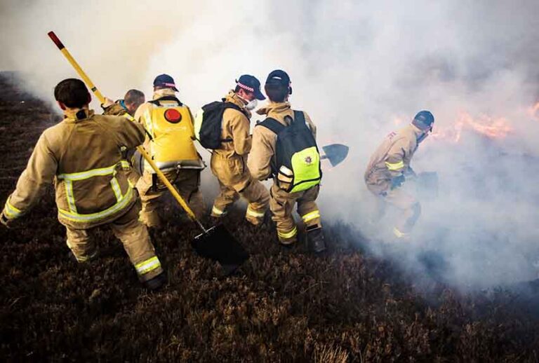 Fires in the Mournes have been on-going for the past week. Minister Muir points to rural arson. Pictured are firemen at work in a blaze near Leitrim in 2025.