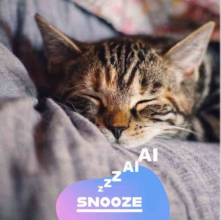 A Poem – A Cat in Twilight Years – With An AI Difference A Poem – A Cat in Twilight Years – With An AI Difference