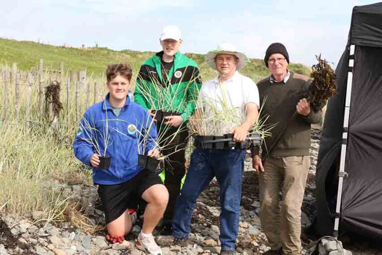 Lecale Conservation Calls For Helpers For Tyrella Planting
