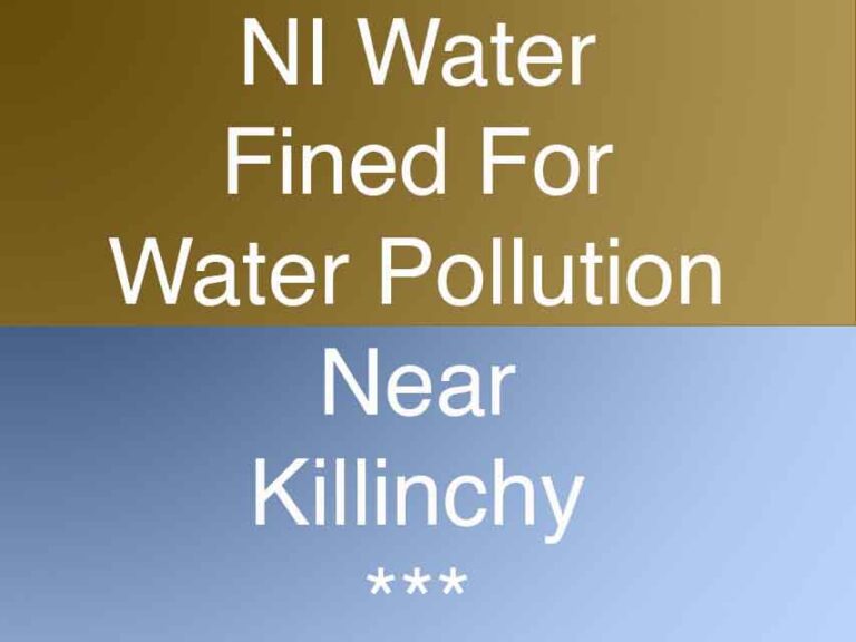 NI Water Pleads Guilty To Water Pollution Near Killinchy