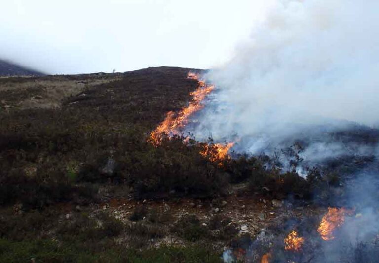 NI Water Advises On Fire Safety In The Mournes