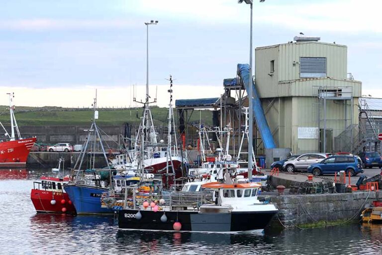 DAERA Calls For PEACEPLUS Funding Applications