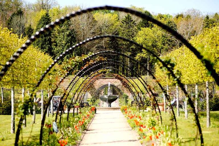 Celebrate Love Parks In Ards And North Down Celebrate Love Parks In Ards And North Down