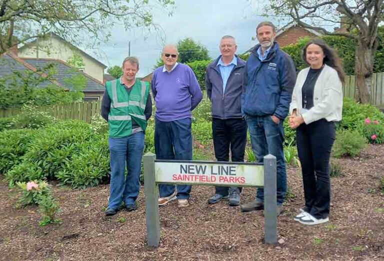 Saintfield Green Space For Newline Area Welcomed