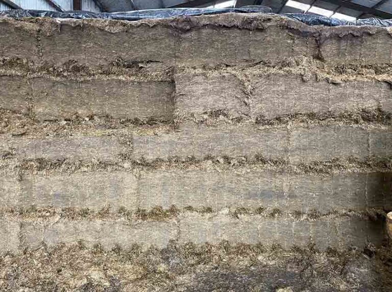 CAFRE Advises Farmers On Silage Stocks For Winter