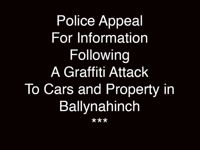Police Appeal After Ballynahinch Criminal Damage Police Appeal After Ballynahinch Criminal Damage