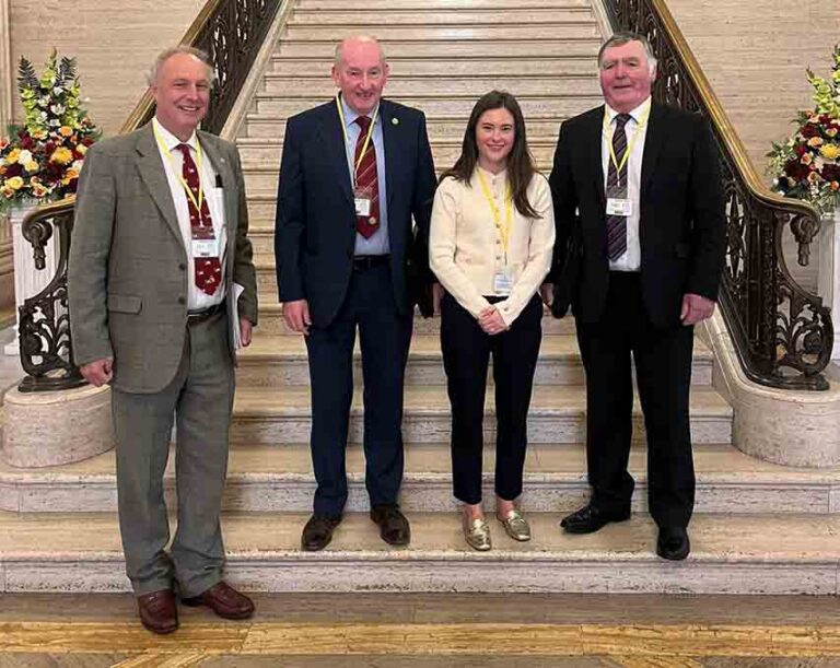 UFU Says DAERA Is Silent Over Bluetongue