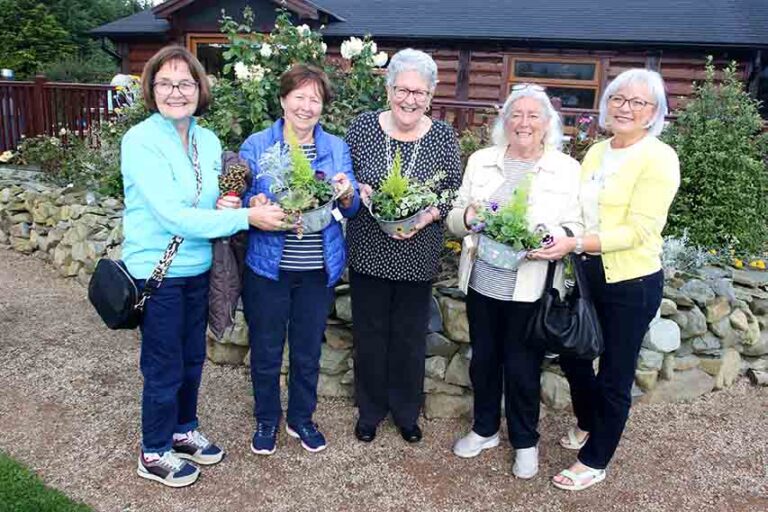 Green Fingers At Work In The Ark Community Garden