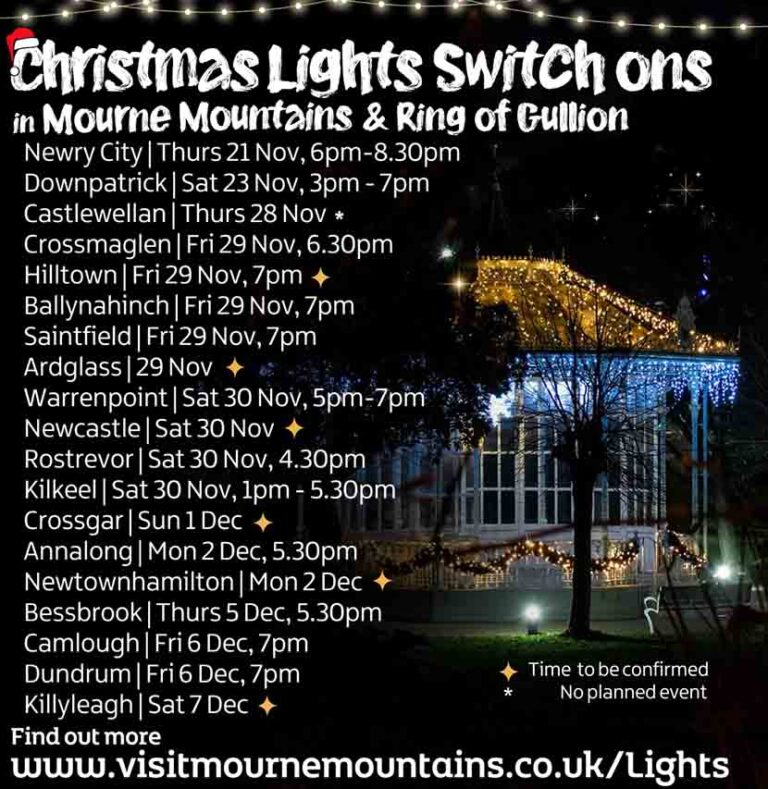 Enjoy The Christmas Lights Switch-Ons In South Down