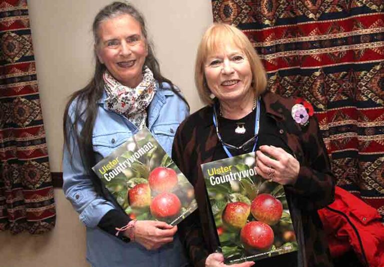 Seaforde Women’s Institute Hold Craft Evening