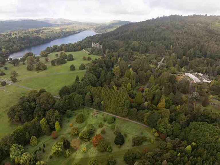 Council To Explore Treetop Walk For Castlewellan Park