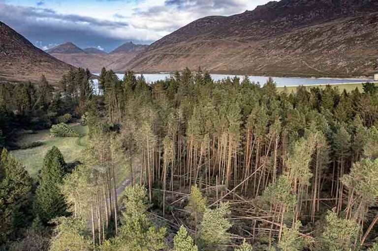 Silent Valley Closed Due To Ongoing Fires In Mournes