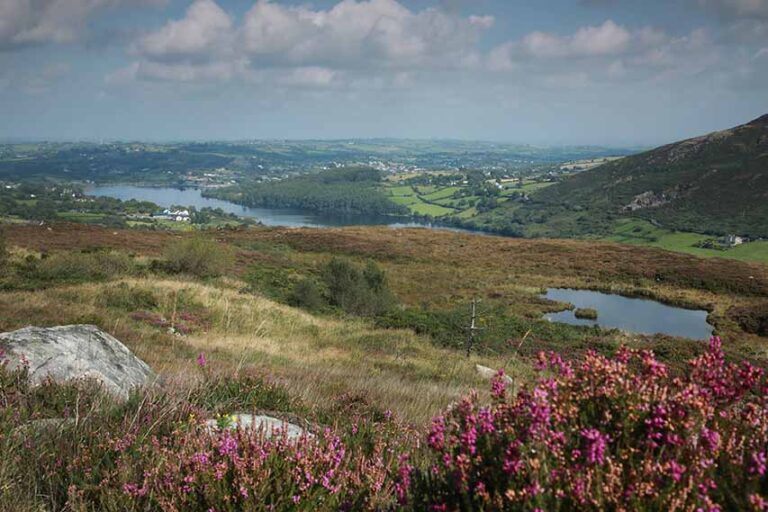 Newry Mourne And Down Council Sets District Rate