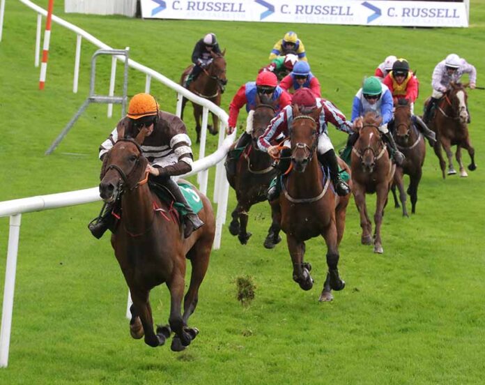 Three Double Wins At Downpatrick Racecourse