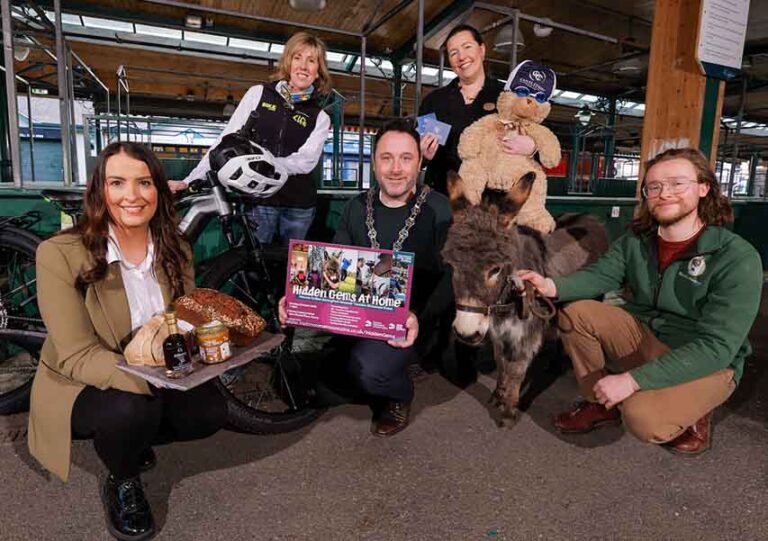 Mourne Gullion Strangford Geopark Event For Newry