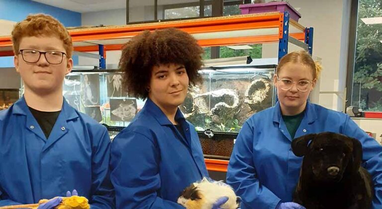 SERC Provides Traineeships For Job Pathways