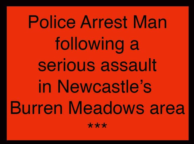Police Appeal After Newcastle Disturbance