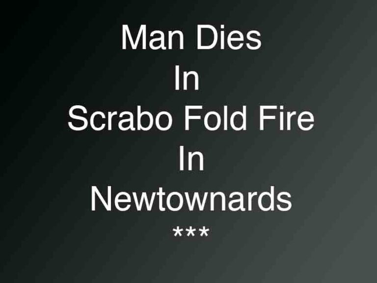 Man Dies In Fire At Scrabo Fold In Newtownards