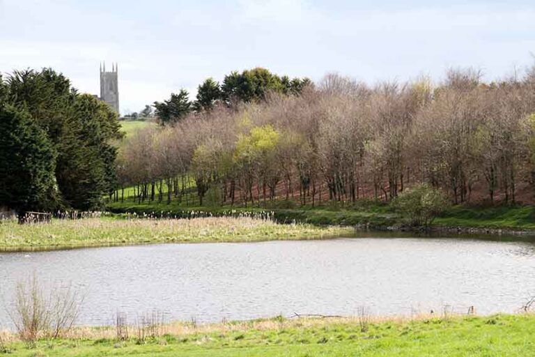 Downpatrick In Easter Bunny Bad Books Says NI Water