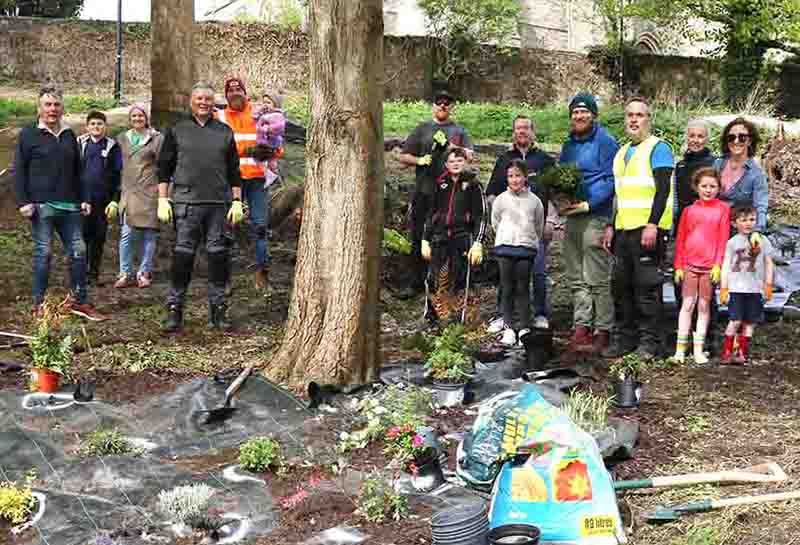 Downpatrick Regeneration Group Plants At The Grove