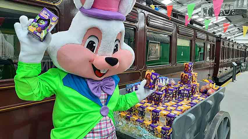 Easter Bunny All Set For The Downpatrick Eggspress