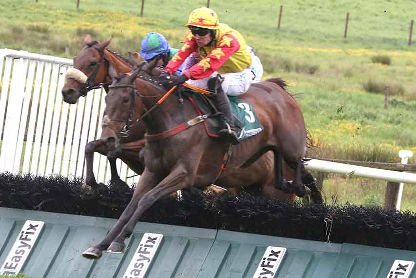 Evening Meeting Goes Well At Downpatrick Races