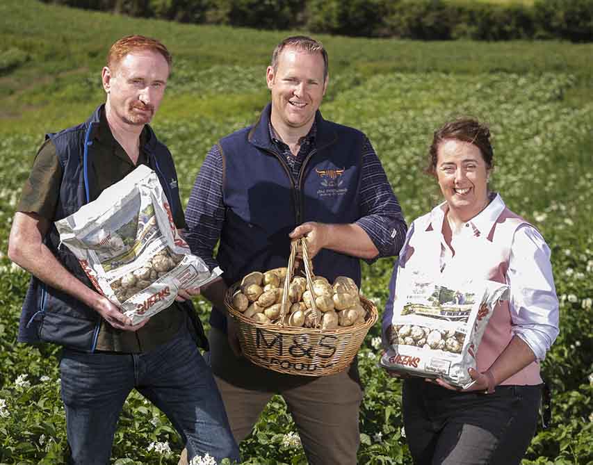 M&S Irish Queens Supplied By Crossgar Farmer