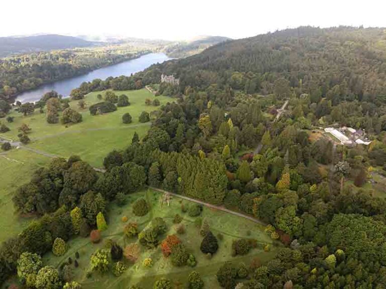 Treetop Walk Moves To Next Project Stage