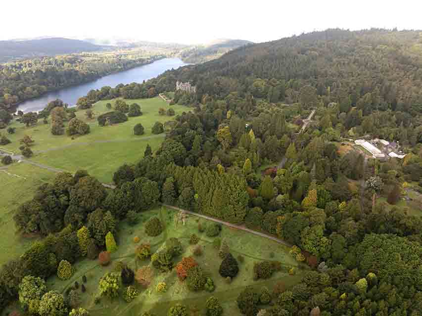Treetop Walk Moves To Next Project Stage